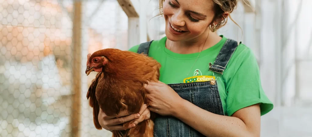 Intrebari si raspuns cu Eggcellent